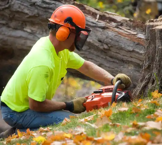 tree services Foreston